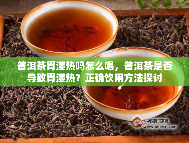 普洱茶胃湿热吗怎么喝，普洱茶是否导致胃湿热？正确饮用方法探讨