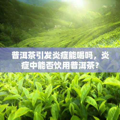 普洱茶引发炎症能喝吗，炎症中能否饮用普洱茶？