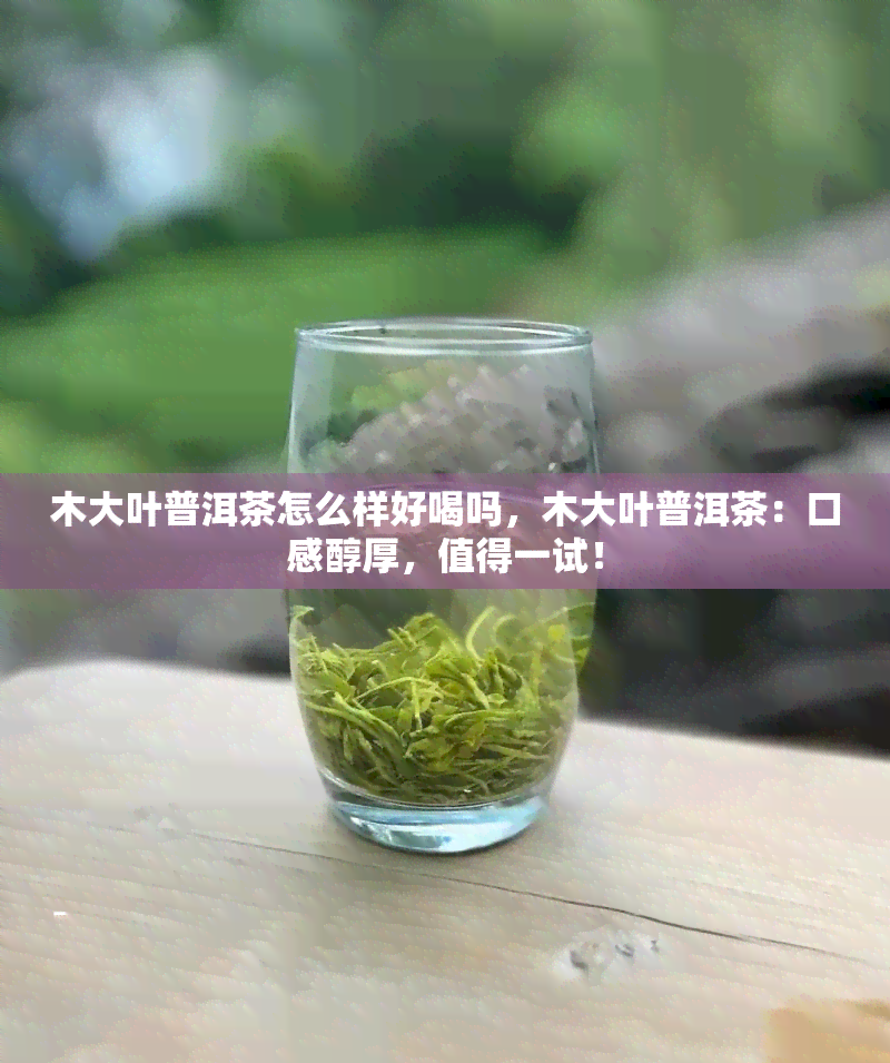 木大叶普洱茶怎么样好喝吗，木大叶普洱茶：口感醇厚，值得一试！