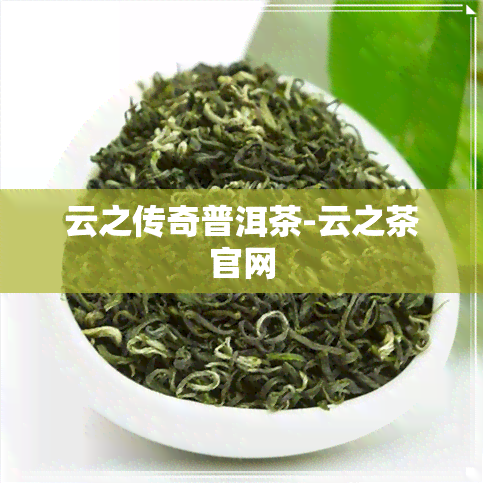 云之传奇普洱茶-云之茶官网