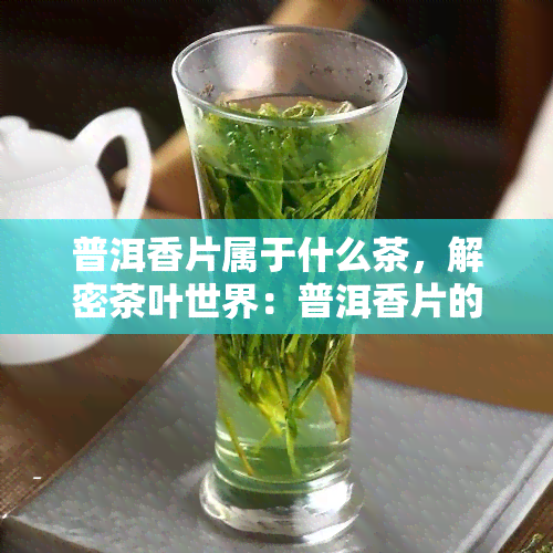 普洱香片属于什么茶，解密茶叶世界：普洱香片的分类归属是什么？