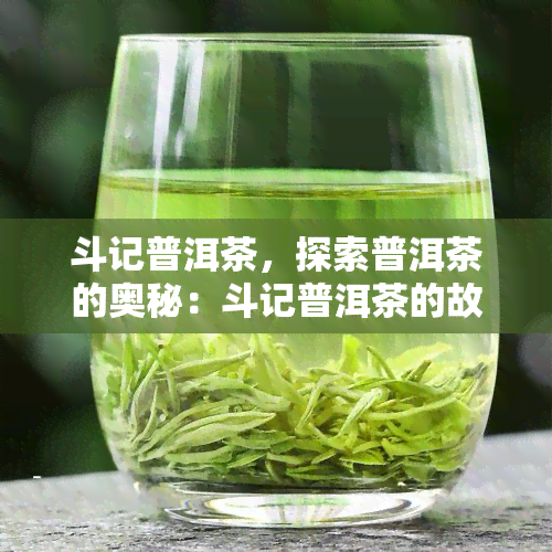 斗记普洱茶，探索普洱茶的奥秘：斗记普洱茶的故事与理念