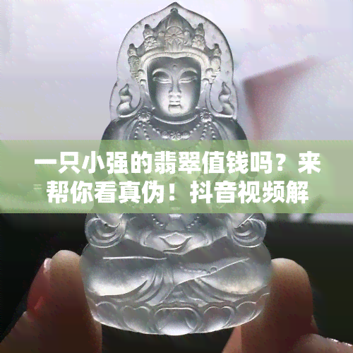 一只小强的翡翠值钱吗？来帮你看真伪！抖音视频解析