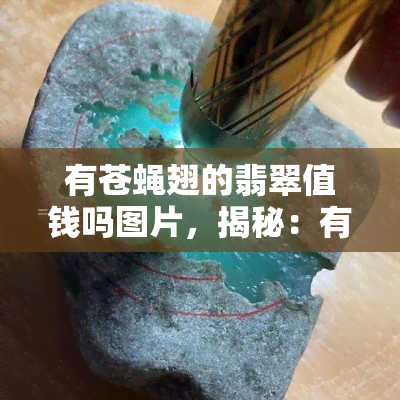 有苍蝇翅的翡翠值钱吗图片，揭秘：有苍蝇翅的翡翠是否值钱？看图揭晓！