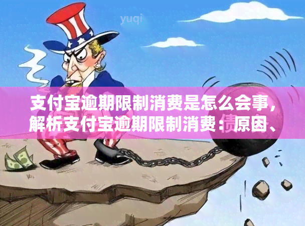 支付宝逾期限制消费是怎么会事，解析支付宝逾期限制消费：原因、影响及解决方案