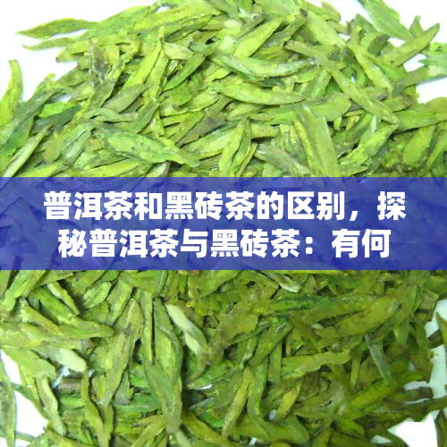 普洱茶和黑砖茶的区别，探秘普洱茶与黑砖茶：有何不同之处？