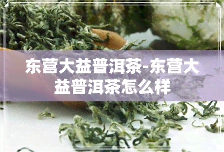 东营大益普洱茶-东营大益普洱茶怎么样