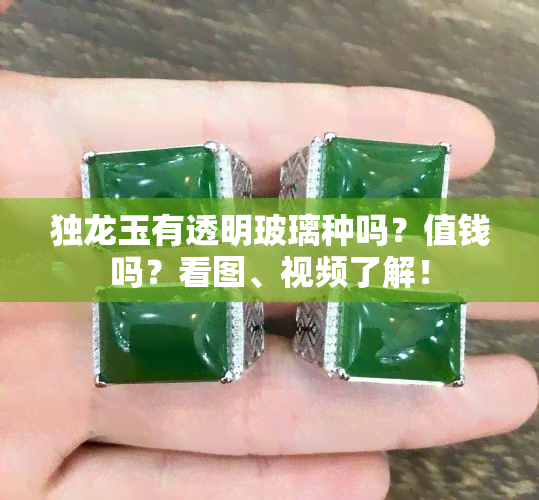 独龙玉有透明玻璃种吗？值钱吗？看图、视频了解！