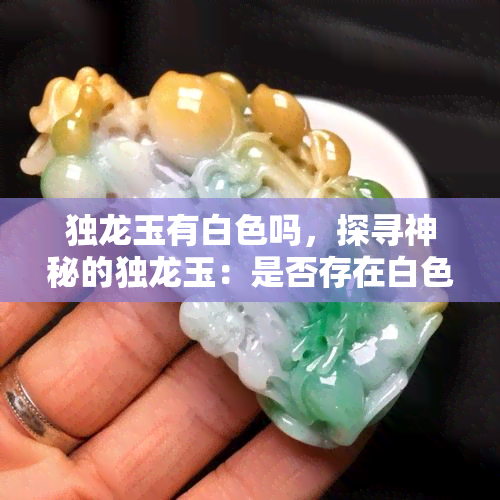 独龙玉有白色吗，探寻神秘的独龙玉：是否存在白色的品种？