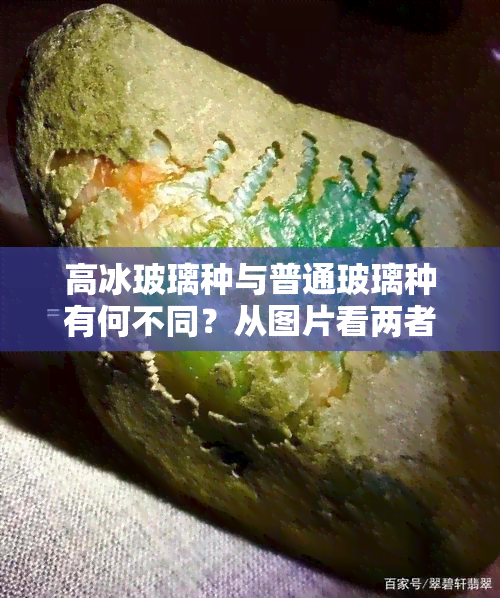 高冰玻璃种与普通玻璃种有何不同？从图片看两者的区别，详解高冰玻璃种含义及优劣，高冰或玻璃种哪个价值更高？