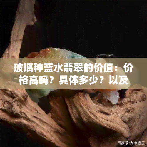 玻璃种蓝水翡翠的价值：价格高吗？具体多少？以及是否值得投资的手镯款式？