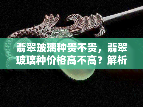 翡翠玻璃种贵不贵，翡翠玻璃种价格高不高？解析其价值与贵重程度