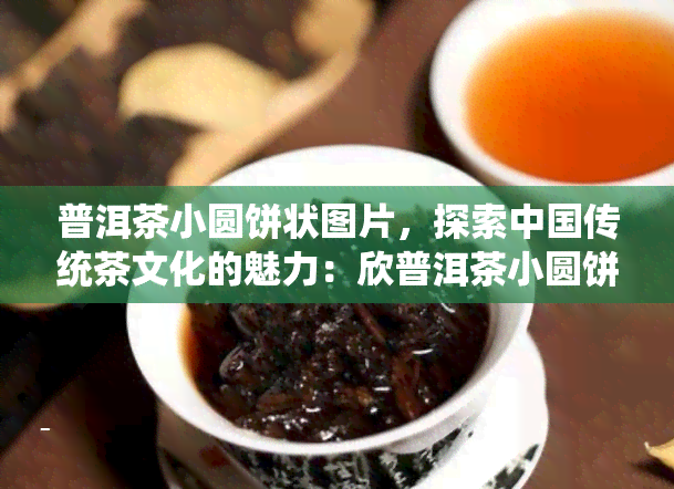 普洱茶小圆饼状图片，探索中国传统茶文化的魅力：欣普洱茶小圆饼状图片