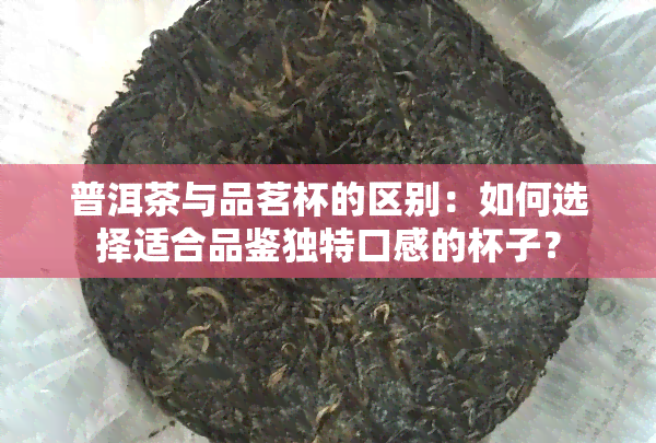 普洱茶与品茗杯的区别：如何选择适合品鉴独特口感的杯子？