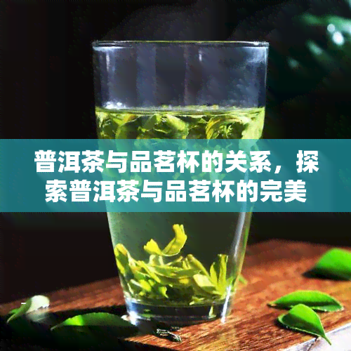 普洱茶与品茗杯的关系，探索普洱茶与品茗杯的完美搭配