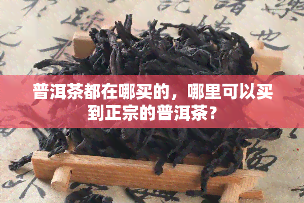 普洱茶都在哪买的，哪里可以买到正宗的普洱茶？