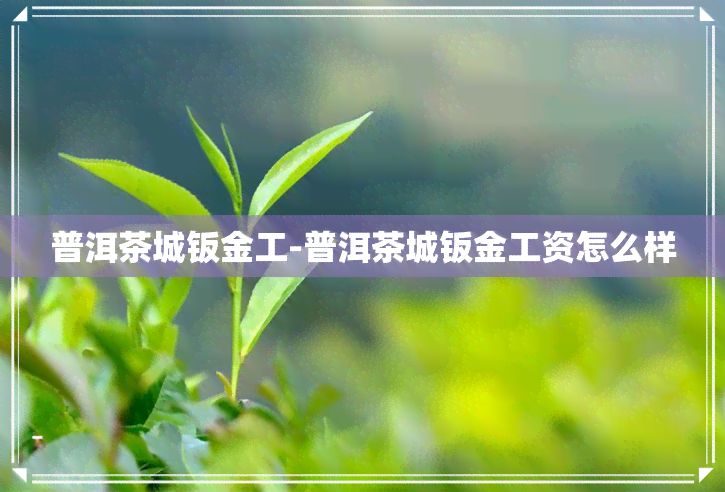 普洱茶城钣金工-普洱茶城钣金工资怎么样