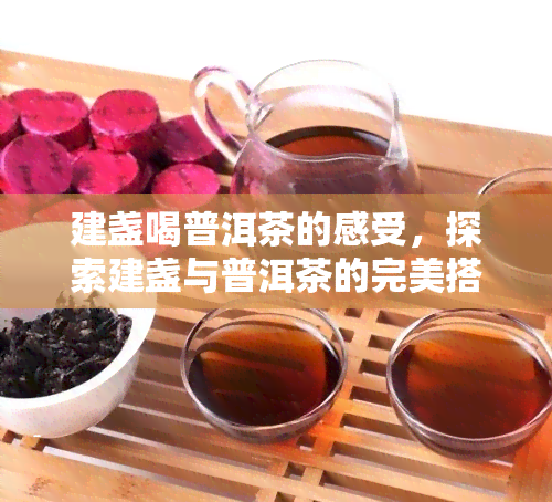 建盏喝普洱茶的感受，探索建盏与普洱茶的完美搭配：独特的口感体验