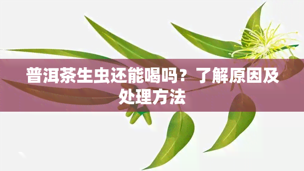 普洱茶生虫还能喝吗？了解原因及处理方法