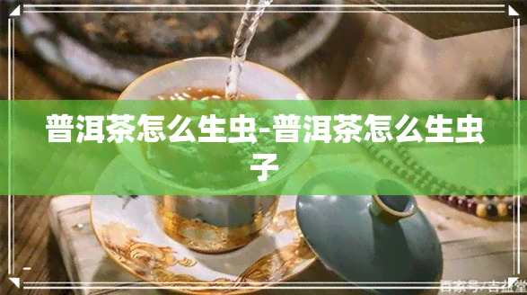 普洱茶怎么生虫-普洱茶怎么生虫子