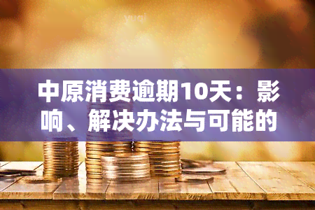 中原消费逾期10天：影响、解决办法与可能的后果