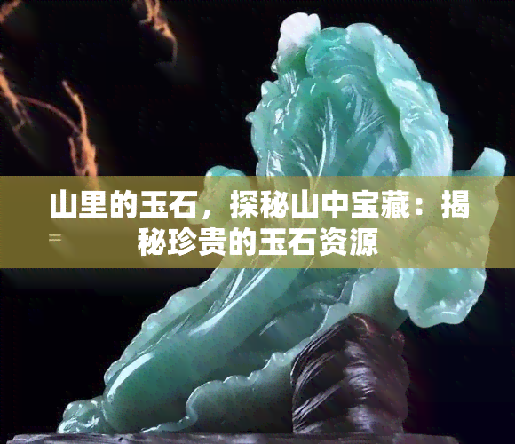 山里的玉石，探秘山中宝藏：揭秘珍贵的玉石资源