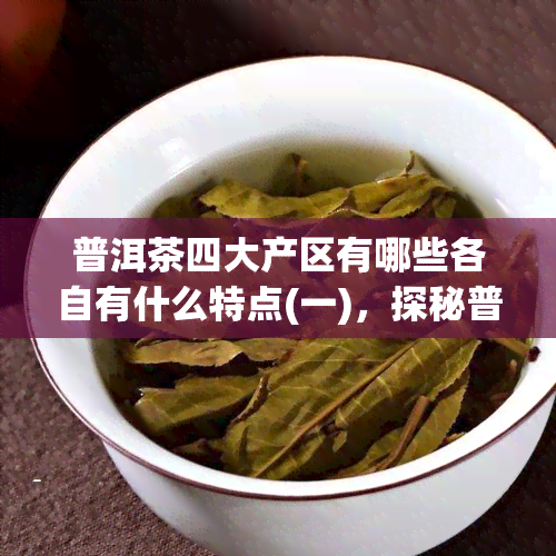 普洱茶四大产区有哪些各自有什么特点(一)，探秘普洱茶四大产区：独特特点解析