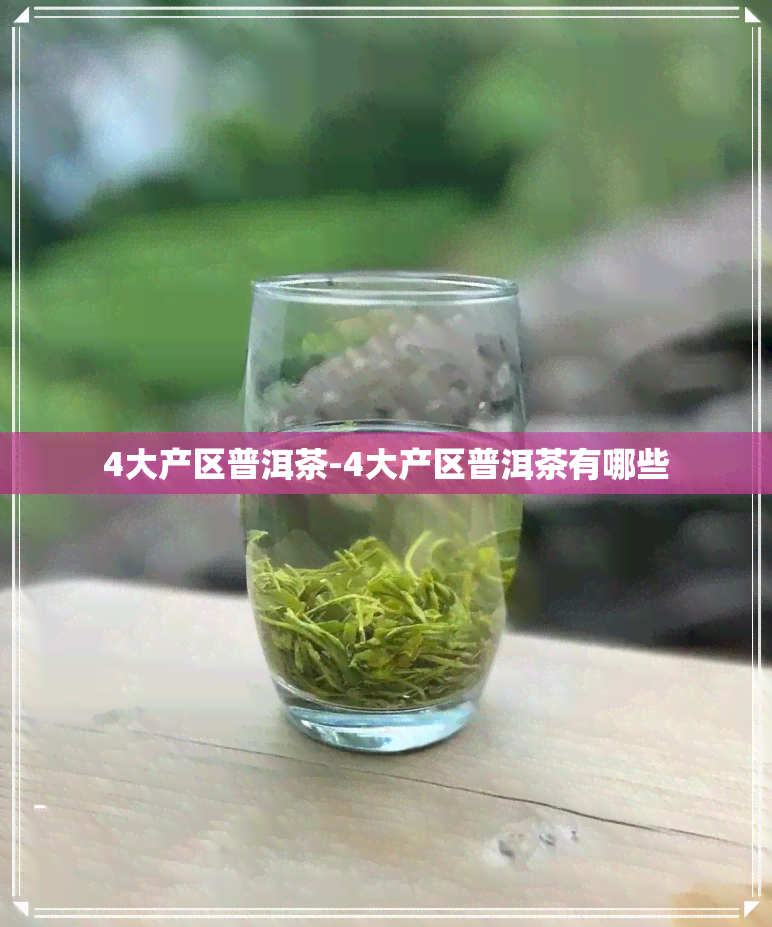 4大产区普洱茶-4大产区普洱茶有哪些