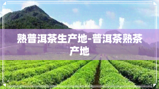 熟普洱茶生产地-普洱茶熟茶产地