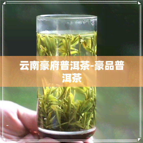 云南豪府普洱茶-豪品普洱茶