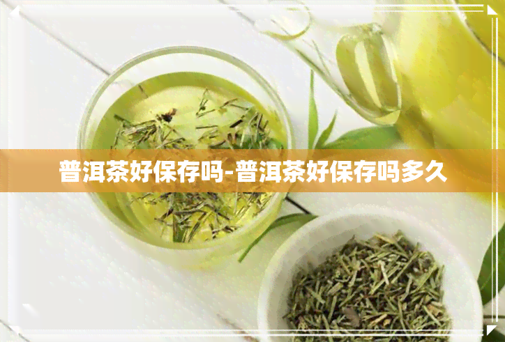 普洱茶好保存吗-普洱茶好保存吗多久