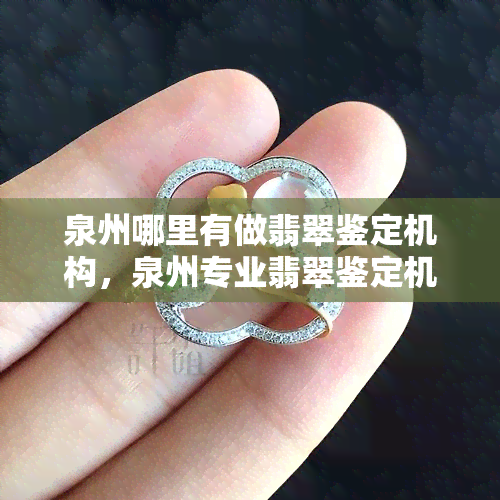 泉州哪里有做翡翠鉴定机构，泉州专业翡翠鉴定机构在哪里？全城搜寻权威鉴定机构！