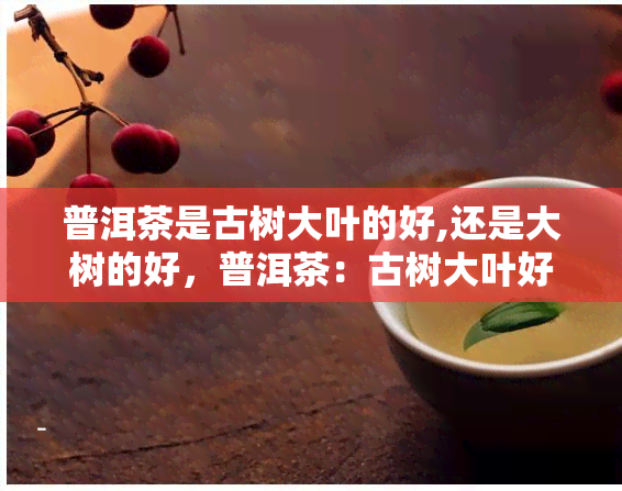 普洱茶是古树大叶的好,还是大树的好，普洱茶：古树大叶好还是大树好？