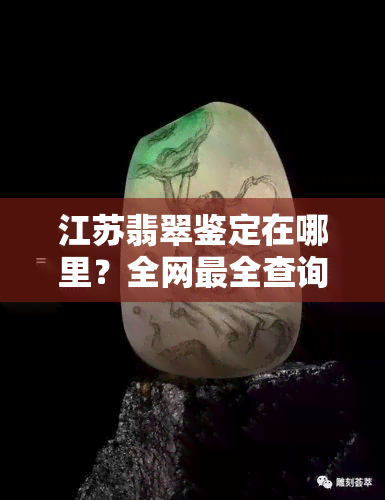 江苏翡翠鉴定在哪里？全网最全查询指南！