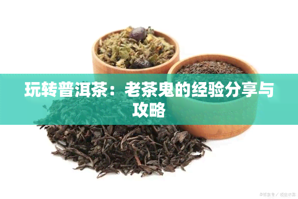 玩转普洱茶：老茶鬼的经验分享与攻略