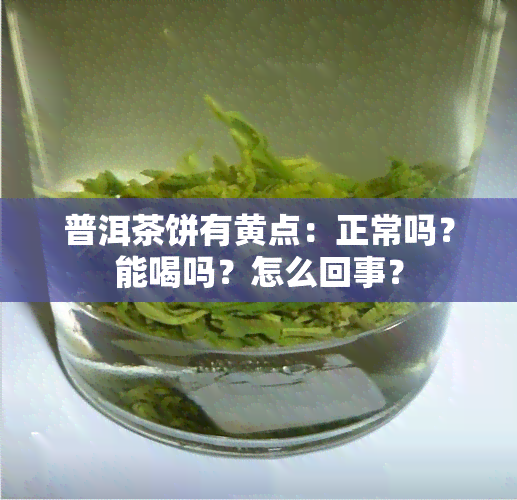 普洱茶饼有黄点：正常吗？能喝吗？怎么回事？