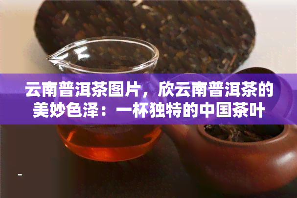 云南普洱茶图片，欣云南普洱茶的美妙色泽：一杯独特的中国茶叶