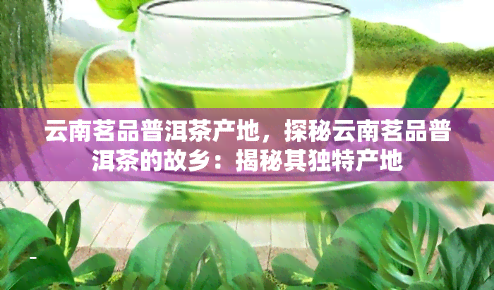 云南茗品普洱茶产地，探秘云南茗品普洱茶的故乡：揭秘其独特产地