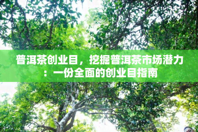 普洱茶创业目，挖掘普洱茶市场潜力：一份全面的创业目指南