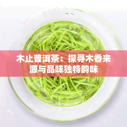 木止普洱茶：探寻木香来源与品味独特韵味