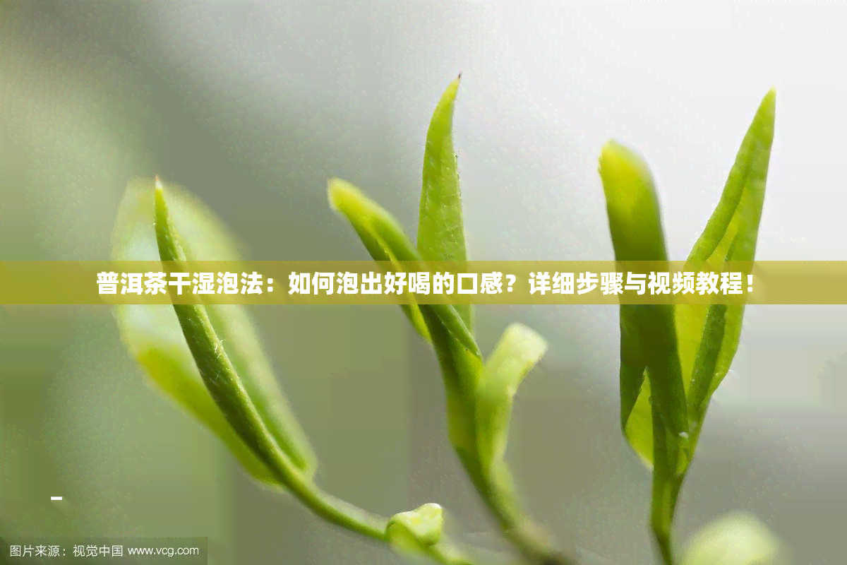 普洱茶干湿泡法：如何泡出好喝的口感？详细步骤与视频教程！