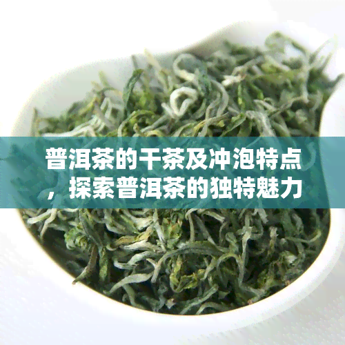 普洱茶的干茶及冲泡特点，探索普洱茶的独特魅力：干茶与冲泡特点解析