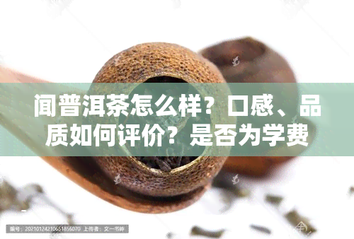 闻普洱茶怎么样？口感、品质如何评价？是否为学费茶？禅缘系列的价格是多少？