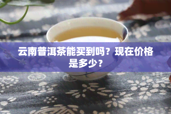 云南普洱茶能买到吗？现在价格是多少？