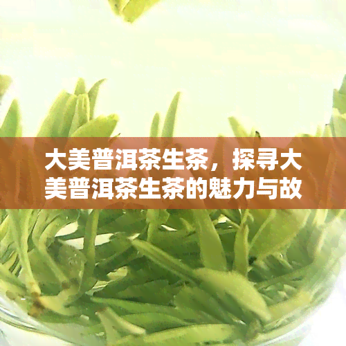 大美普洱茶生茶，探寻大美普洱茶生茶的魅力与故事