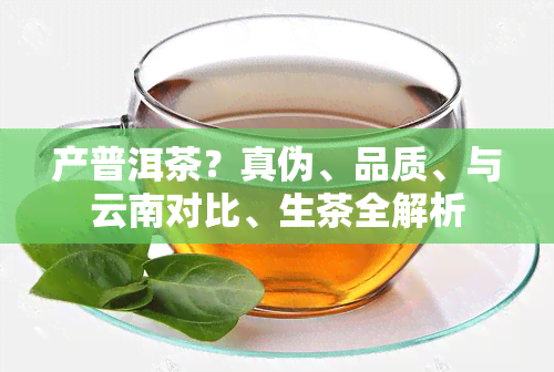 产普洱茶？真伪、品质、与云南对比、生茶全解析