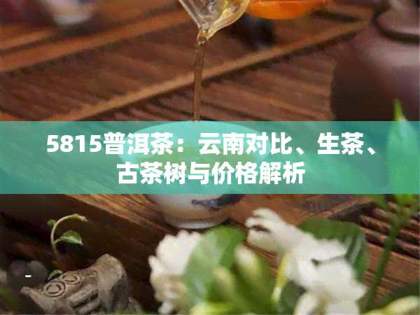 5815普洱茶：云南对比、生茶、古茶树与价格解析