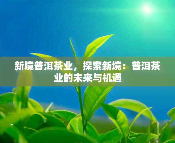 新境普洱茶业，探索新境：普洱茶业的未来与机遇