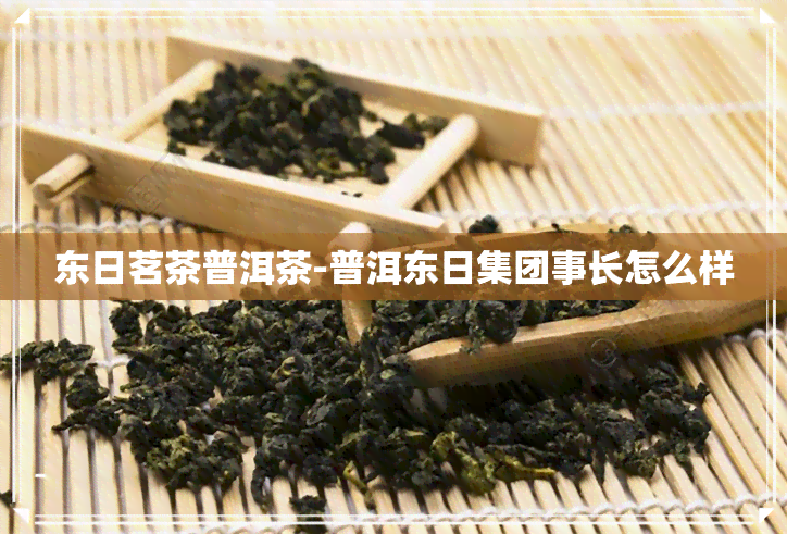 东日茗茶普洱茶-普洱东日集团事长怎么样