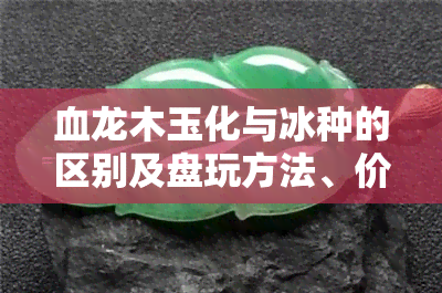 血龙木玉化与冰种的区别及盘玩方法、价格详解，包括帝王料与包浆图